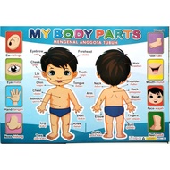 Children'S Poster Education To Know BODY PARTS / PARTS OF THE BODY