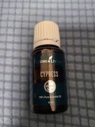 Young Living 精油 通淋巴 去水腫 Cypress