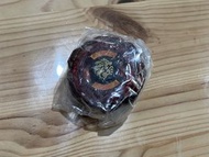 4D獠牙獅王特別版 Beyblade