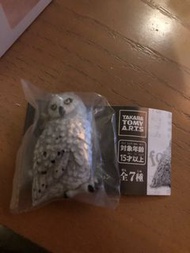 怪獸與牠們的產地 扭蛋 貓頭鷹