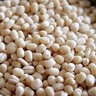 Dal Urad White/Ulunthu Putih/Lentils- 500/1000gm
