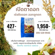 สวน ปุ๋ยเกล็ด กิฟฟารีน โกรแม็กซ์ 10-52-17สูตร ฟอสฟอรัสสูง หยุดต้น สร้างดอก พัฒนาราก ดืน คุณภาพดี