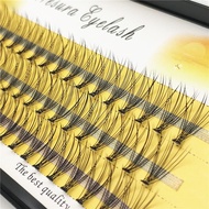 10D D+ Curling Eyelash Extension Set 60 bundles/box of natural high quality eyelash extension makeup