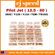 YAMAHA RXZ TS 125 TS125 125Z Y125Z Y125ZR 125ZR TZM Y110 SS110 PILOT JET PILOTJET PJ FOR CARBURETOR 