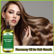 Rosemary Oil for Hair Scalp Cleansing 75ml Rosemary Oil Hair Growth Head Massage Oil Scalp & Head Ma