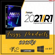 ANSYS Products 2021 R2