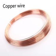 【♘COD Free Cas♘】 fka5 1m Copper Line Copper Red Copper Line Bare Wire 99.90% Diameter0.5/0.8/1/1.5/2/2.5/3mm