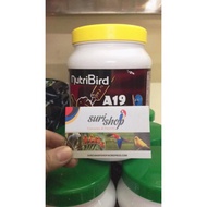 Bột A21 800g cho chim vẹt