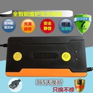 Electric Vehicle Battery Charger 48V12AH20AH60V64V72V Suitable for New Japan Emma Yadi Luyuan