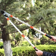 กรรไกรตัดกิ่ง กรรไกรแต่งกิ่ง กรรไกรตัดแต่งกิ่งกรรไกรตัดแต่งกิ่งด้ามยาวแบบพับเก็บได้กรรไกรตัดแต่งกิ่งในสวนเยอรมันเลื่อยตัดแต่งกิ่งหนา sk5 สามารถตัดต้นไม้สูงได้สูงมาก