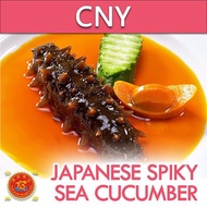 ★★★★★ Spiky Sea Cucumber | Japan | 即食日本刺参  10 PIECES
