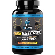 eFlow Nutrition Turkesterone Supplement for Men [Highest] + Cyclodextrin for High Absorption - Incre