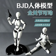 【Ready Stock】Action Figure Mannequin SHF Figures Body Kun Action Figure Body Chan SHFiguarts Girl Ma