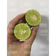 Lime/Limau Nipis 酸柑 [1KG] (Organic)