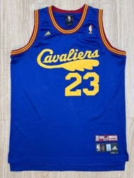 BNWOT NBA Adidas LeBron James Cavs 藍羽毛 Swingman Jersey L