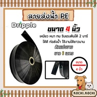 Dripple สายส่งน้ำ PE (สีดำ-ใส) ตัดแบ่งขายยาว 1-100 เมตร มีให้เลือกขนาดเส้นผ่าศูนย์กลาง 1234 นิ้ว | ส