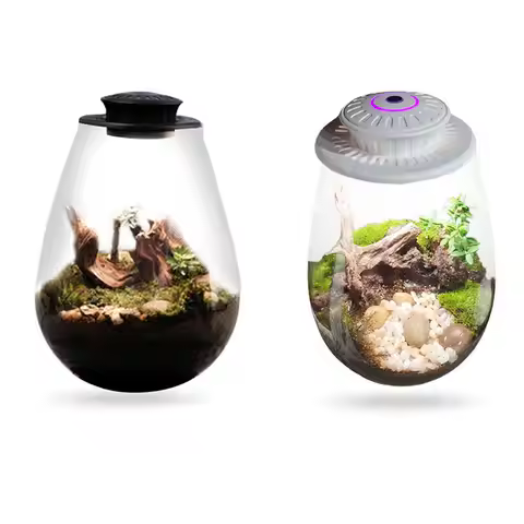 Fern Moss Micro-Landscape Grow Light 6500K Desktop Miniature Plant Light LED Full Spectrum Growing L