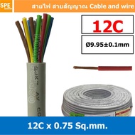 [ 1 เมตร ] SJK 0.75 Sq.mm. 12C x 0.75 สายมัลติคอร์ 12 คอร์ Multicore Cable สาย AV Control Cable SJK 