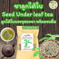 ชาลูกใต้ใบ บรรจุ 30 ซองชา Seed under leaf Tea เครื่องดื่มสมุนไพรชนิดชงดื่มแบบซองชา ชาลูกใต้ใบรสชาติดี ดื่มง่าย ไม่ขมกลิ่นหอมชา