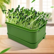 Combo of 234 Multi-Purpose Bean Sprout Growing Trays with Lid, High Quality Plastic Bean Sprout and 