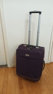 Pierre Cardin Carry-on Luggage 上機行李箱