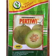 Ready || Benih Bibit Melon Pertiwi Anvi