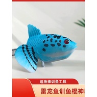 Thunder Dragon Fish Training Tool Thunder Dragon Fish Training Magic Stick Thunder Dragon Fish Teasi