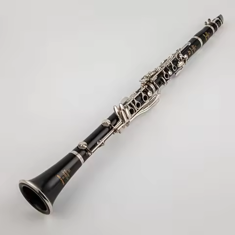 New Buffet R13 B-flat Tune Professional High Quality Woodwind Instruments Clarinet Black tube With C