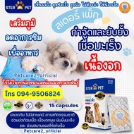 สเตอร์เพ็ท Ster pet ของแท้ พร้อมส่ง 🌟✅ ดูแลสุขภาพ บำรุงครบ น้องหมาแมว❤️