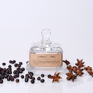 Torplyktan 秘密寶盒蠟燭 100ml 杜松子茴香