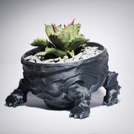 【龐克獅】植物盆器 3d列印盆器 原創設計 塊根盆 多肉盆 水泥盆
