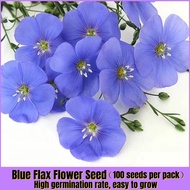 100pcs Blue Flax Flower Seeds for Planting  Bunga Hiasan Rumah Hidup Pokok Bunga Hiasan Benih Bunga Benih Pokok Bunga