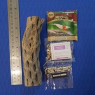 Cholla XL with Shrimp King Protein 6g + Snowflakes 10g + Mineral junkie 5 g (ACTUAL PHOTOS)