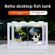 Double Compartment Ornamental Fish Tank for Thai Betta, Small Living Room Betta Fish Tank, Plastic H