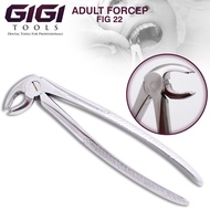 GIGI Tools Tooth Extracting Forceps FIG 22 Adult Forceps For Professional Dentists Stainless CE