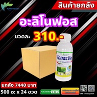 ยกลัง 24 ขวด โกลอะนิล ( อะลิโนฟอส ) 🛑 สารกำจัดวัชพืชในนาข้าว เก็บหญ้า หญ้าข้าวนก หญ้าดอกขาว หญ้ากระด