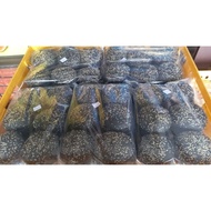 [Halal] Roti Burger / Oblong / John / Papa | Soft Fresh Bun 10pcs/1pkt | Roti Panjang Gebu & Lembut