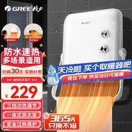 格力（GREE）暖风机家用浴室台壁挂式取暖器电暖器 桌面便携移动防水速热电暖风烘衣冷暖两用浴霸电暖气热风机 NBFD-X6020