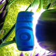 💥Ready Stock💥 19.5mm x 10.6mm 蓝玉 二眼天珠 两眼天珠 玉树连枝 家庭美满 夫妻和睦 2 Eye Dzi 2 Eyed Dzi Two Eye Two Eyed Dzi 