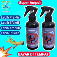 OBAT PEMBASMI CICAK PALING AMPUH UNTUK DI RUMAH RACUN CICAK DAN TOKEK PENGUSIR CICAK ANTI CICAK PENG