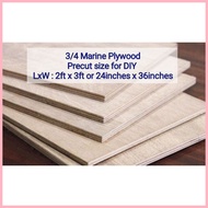 ✲ ◪ 2ft x 3ft Marine Plywood 3/4 thick