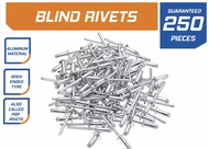 250/100 PCS Blind Rivets 1/8 x 3/4 inches