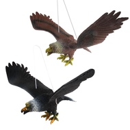 Simulation Eagle Model Toy Pinch Barking Bird Animal Toy Golden Eagle Dapeng Decoration Decoration O