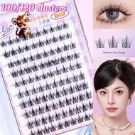 Glue-Free False Eyelashes 100/120 Clusters C-Curl Flame Trilogy Mermaid|aTail@W/Sunflower@E