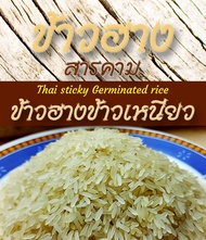 ข้าวฮางเหนียว กข6 แท้100% ขนาด 1 Kg. แพ็คสุญญากาศ ทำจากข้าวเหนียว กข6 แท้ 100% น้ำตาลต่ำ หุงได้ นึ่ง