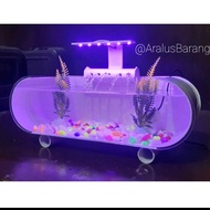 Aquarium Mini Full Set Dengan Pompa Dan Filter / Aquarium Akrilik / Aquarium Ikan Cupang / Aquarium 