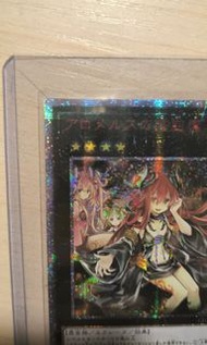 遊戲王 阿蘿莫絲的蟲惑魔 紅碎 20SER