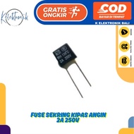 2A 250V FAN FUSE