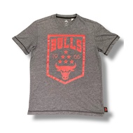 Chicago Bulls logo T-shirt (Thrifting)