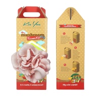 Kin Yan Fresh Pink Oyster Mushroom Growing Kit